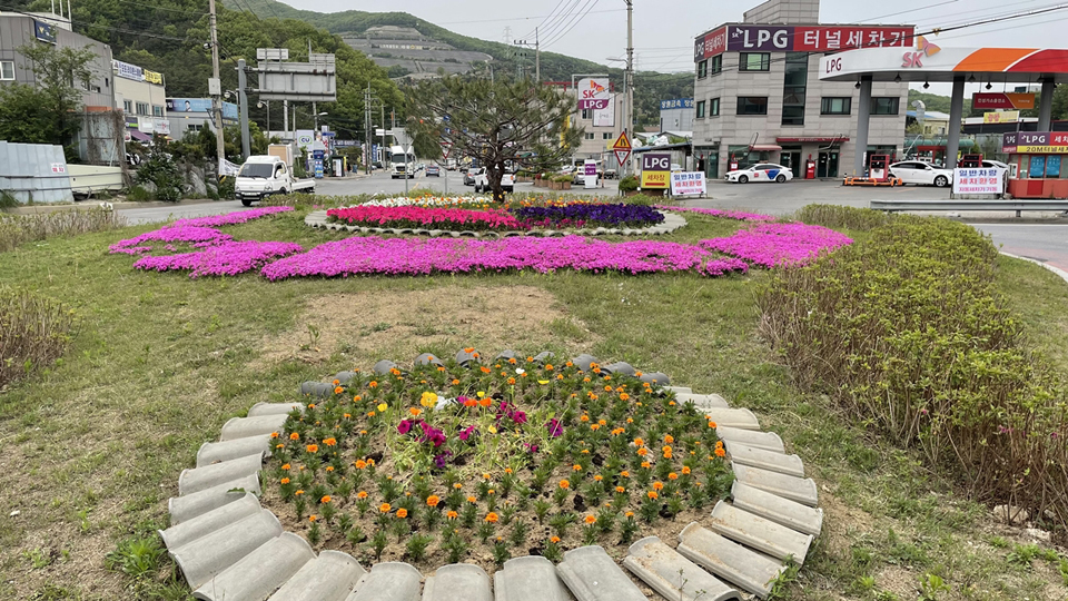 오포읍, 봄꽃 식재로 볼거리 제공