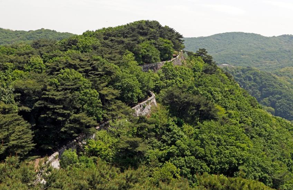 남한산성 소나무숲